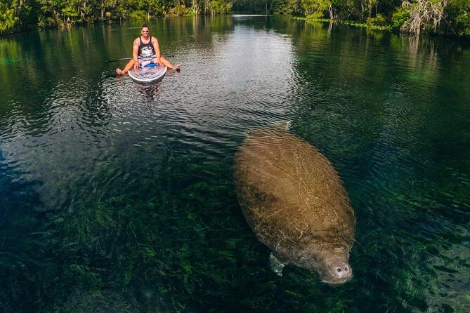 Silver Springs: Clear Kayak Wildlife Adventure - Timing, Heat, and Physical Effort