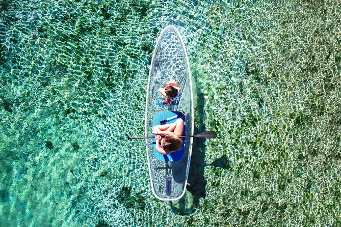 Silver Springs: Clear Kayak Wildlife Adventure - The Real Value of the $4 Launch Fee