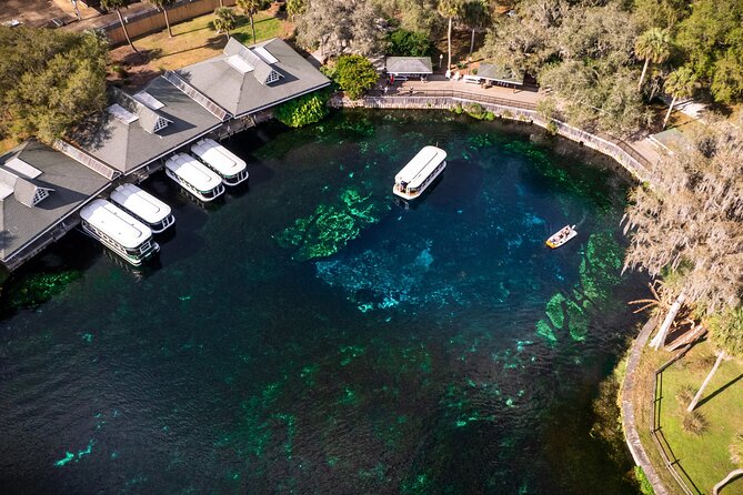 Silver Springs: Clear Kayak Wildlife Adventure - Who Should Book This Silver Springs Paddle