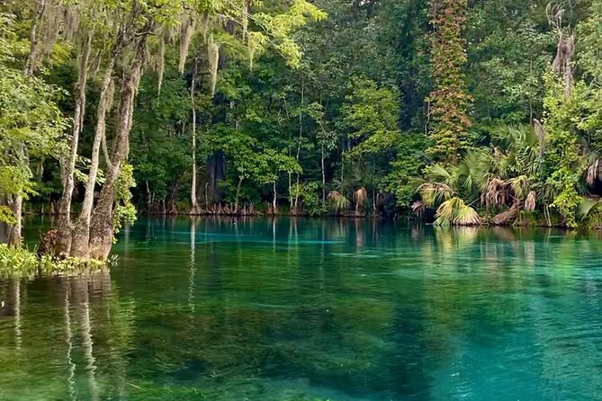 Silver Springs: Clear Kayaking Wildlife Tour - The best fit for families and first-time paddlers