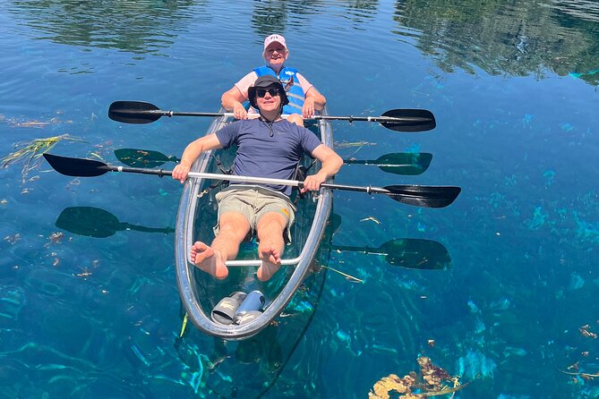 Silver Springs: Clear Kayaking Wildlife Tour - Reading the river through its wildlife