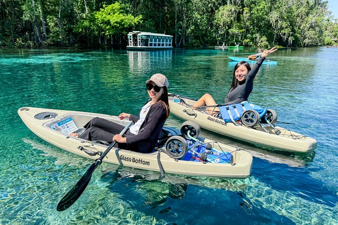 Silver Springs - Glass Bottom Kayak Rental - What Silver Springs looks like from a glass-bottom kayak