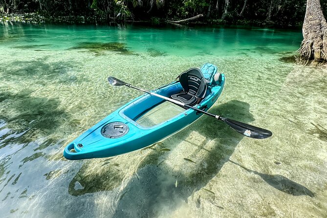 Silver Springs - Glass Bottom Kayak Rental - Reaching the Silver River and its springs