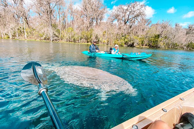 Silver Springs Glass Bottom Kayak Tour - What happens during the two-hour paddle
