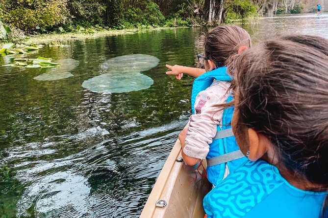 Silver Springs Glass Bottom Kayak Tour - What the $39.50 price really covers