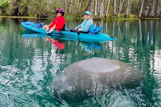 Silver Springs Glass Bottom Kayak Tour - Who will enjoy this Silver Springs tour