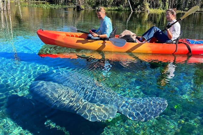 Silver Springs Jungle Kayaking and Paddleboarding - Gear supplied, and what you still need to budget