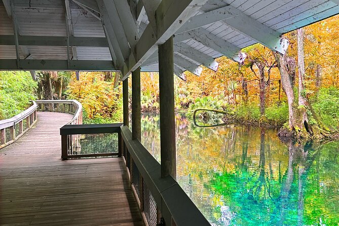 Silver Springs Jungle Kayaking and Paddleboarding - Who will enjoy this Silver Springs outing