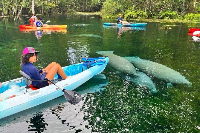 Silver Springs Kayak Rental - The Best Florida Adventure - Key points to know before you paddle
