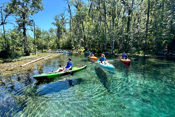 Silver Springs Kayak Rental - The Best Florida Adventure - Paddling into the wildlife area