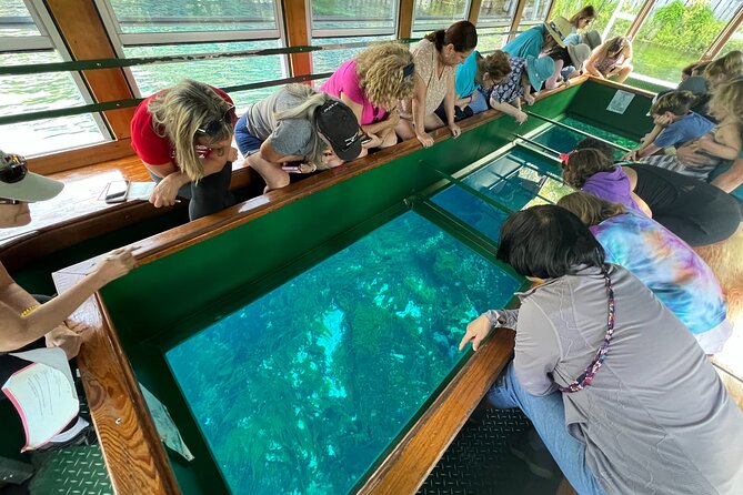 Silver Springs Manatee Kayak, Glass Boat Small Group Max 14 Tour - Key points to know before you book