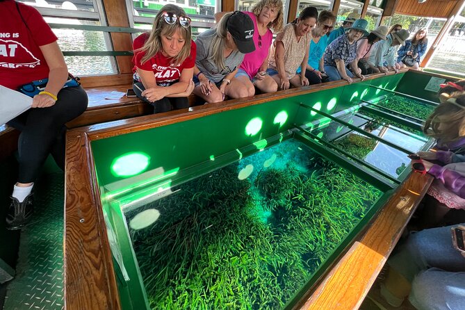 Silver Springs Manatee Kayak, Glass Boat Small Group Max 14 Tour - Choosing between a kayak, paddle boat, and walking