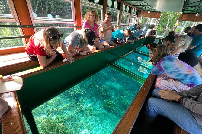 Silver Springs Manatee Kayak, Glass Boat Small Group Max 14 Tour - The guide and the small-group feel