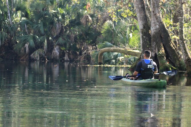 Silver Springs Manatee Kayak Tour - Who will enjoy this paddle most