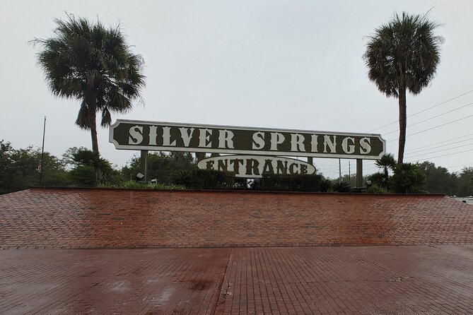 Silver Springs Manatee Kayak Tour - Weather, timing, and the patience factor