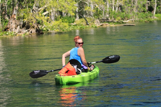 Silver Springs Manatee Kayak Tour - Manatees, alligators, monkeys, and clear water