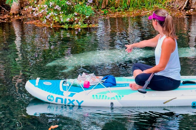Silver Springs Manatee & Monkeys Paddle Board Tour - Why Silver Springs makes such a memorable paddle