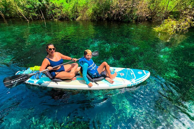 Silver Springs Manatee & Monkeys Paddle Board Tour - Letting the current carry you downstream
