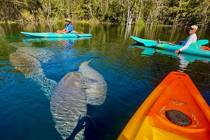 Silver Springs Premium Florida Wildlife Experience! - What guide Tania adds to the experience