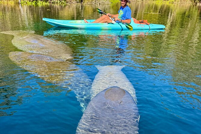 Silver Springs Premium Florida Wildlife Experience! - Who will enjoy this Silver Springs trip