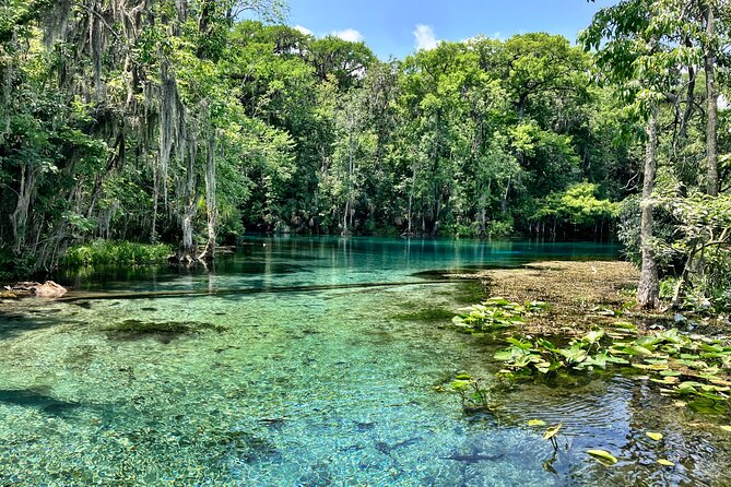 Silver Springs Premium Florida Wildlife Experience! - The best way to approach the paddle