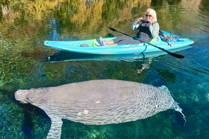 Silver Springs Premium Florida Wildlife Experience! - Wildlife watching without the circus