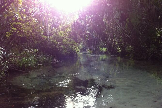 Silver Springs Self Guided Clear Kayak Rentals - How hard are two hours of paddling?