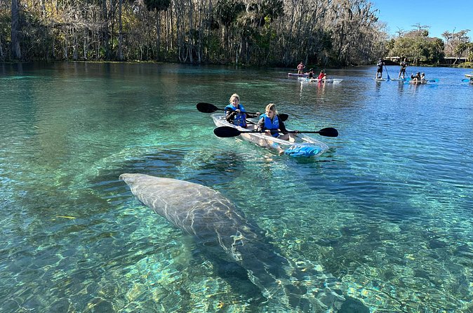 Silver Springs Self Guided Clear Kayak Rentals - What the $65 price includes