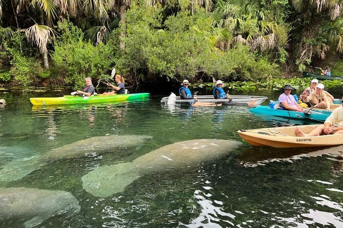 Silver Springs Self Guided Clear Kayak Rentals - Who will enjoy this most?