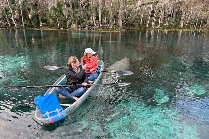 Silver Springs Self Guided Clear Kayak Rentals - Planning for weather, timing, and cancellations