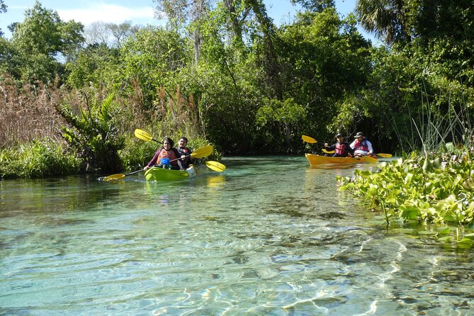 Small Group Rock Springs Run Eco Kayak Adventure - Starting at King’s Landing