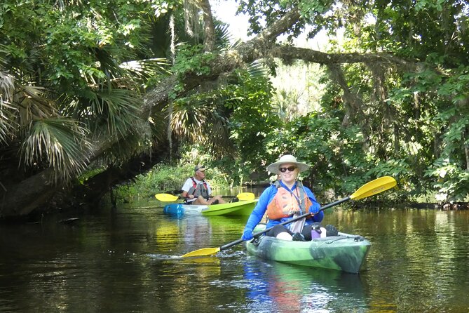 Small Group Scenic Wekiva River Kayak Tour near Orlando - Starting at Katie’s Landing in Sanford