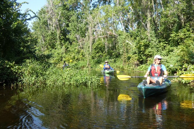 Small Group Scenic Wekiva River Kayak Tour near Orlando - The mid-tour swim break