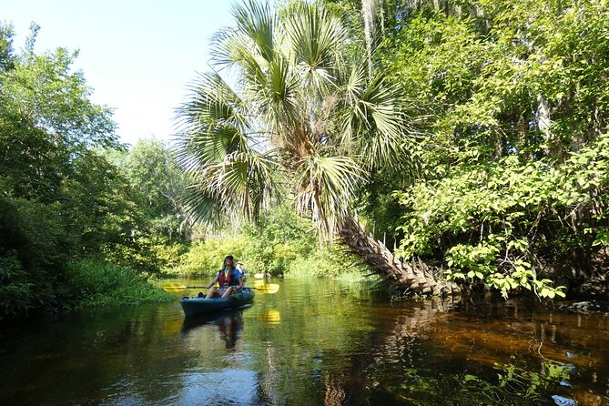 Small Group Scenic Wekiva River Kayak Tour near Orlando - Is $80 a fair price?