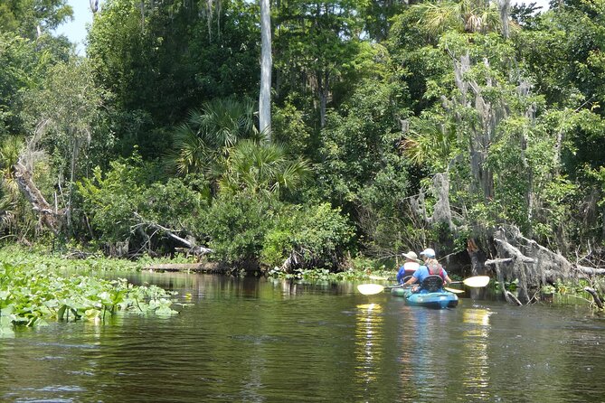 Small Group Scenic Wekiva River Kayak Tour near Orlando - What to wear and bring