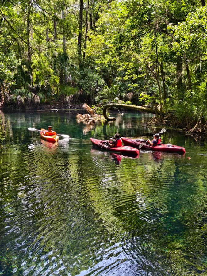 Small Group Silver Springs State Park Day Tour from Orlando - Key points to know before you book