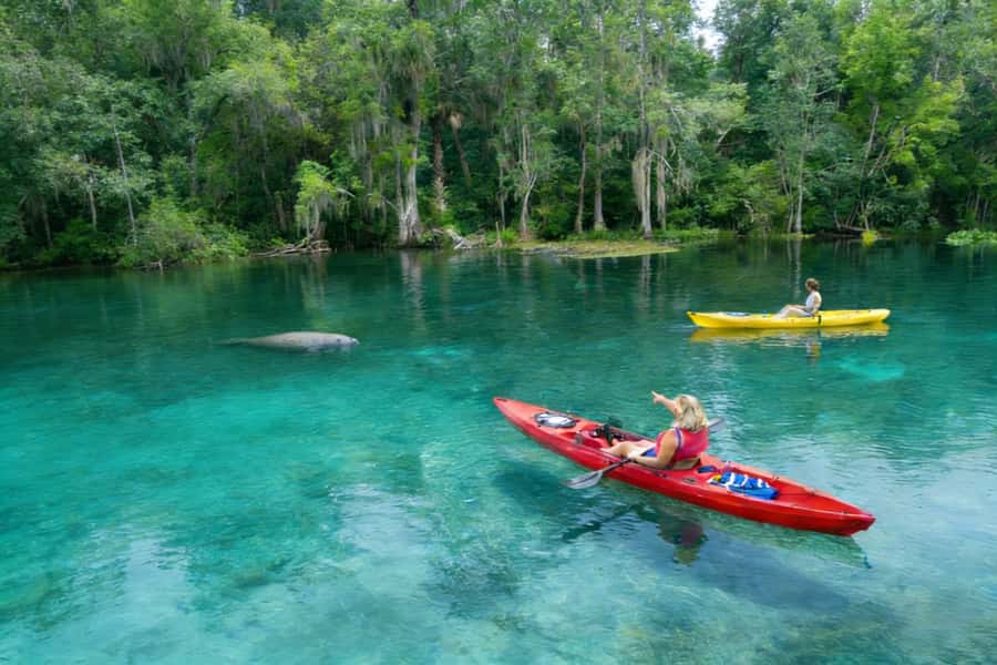 Small Group Silver Springs State Park Day Tour from Orlando - The ride to the park with a small group guide