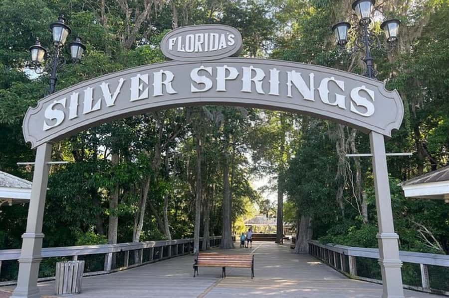 Small Group Silver Springs State Park Day Tour from Orlando - The glass-bottom boat and the clear view below