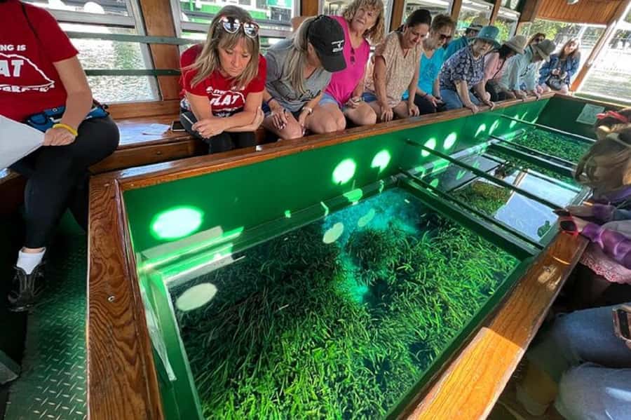 Small Group Silver Springs State Park Day Tour from Orlando - Mammoth Spring and the feeder springs
