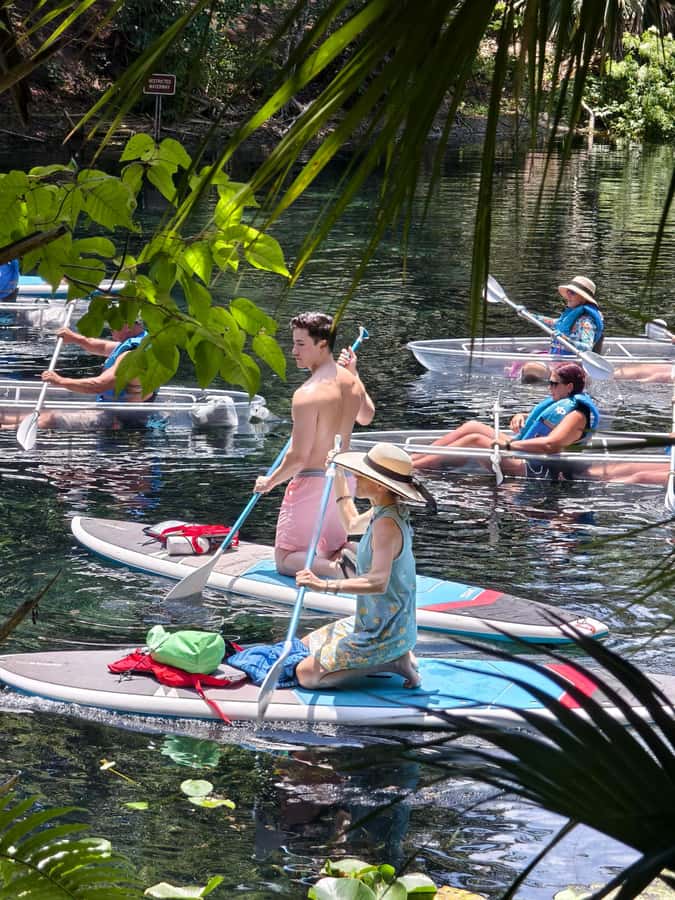 Small Group Silver Springs State Park Day Tour from Orlando - Five hours to choose your own Florida day