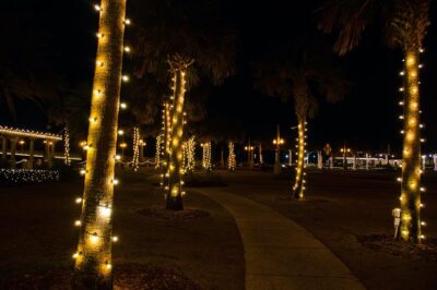 St. Augustine Nights of Lights Celebration from Orlando