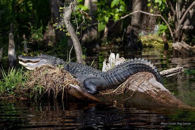 St. Johns River Lunch and Dinner Cruises in Sanford, Florida - Should you book the Barbara-Lee?