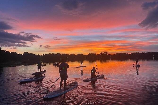 Sunset Clear Kayak or Paddleboard in Orlando - What the $65 price really covers