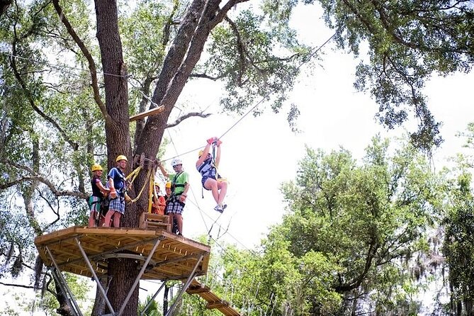 Treetop Express Zip Line Tour with 5 Zip Line Flights & 2 Sky Bridges Included - Sky High Canyon Adds More Than Zip Lines