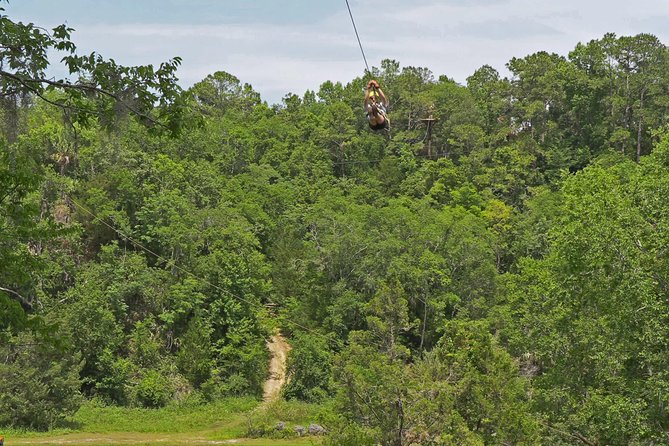 Treetop Express Zip Line Tour with 5 Zip Line Flights & 2 Sky Bridges Included - The Final Flight Over Gator Lake