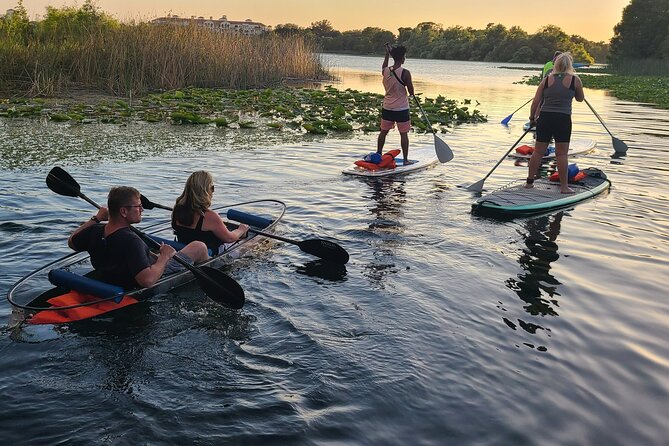 Urban Clear Kayak or Paddleboard in Paradise: Morning/Night - Meeting at Epic Paddle Adventures
