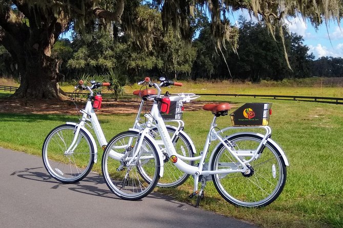 Village Bicycle Rental Free Delivery in The Villages Florida - Key points to know before booking