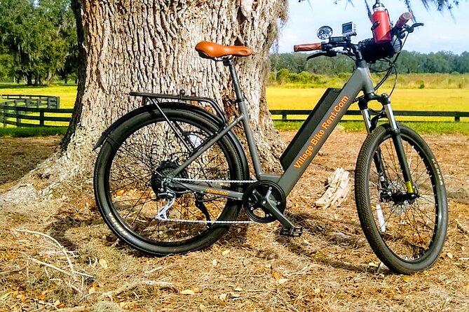Village Bicycle Rental Free Delivery in The Villages Florida - Who will get the most from this rental