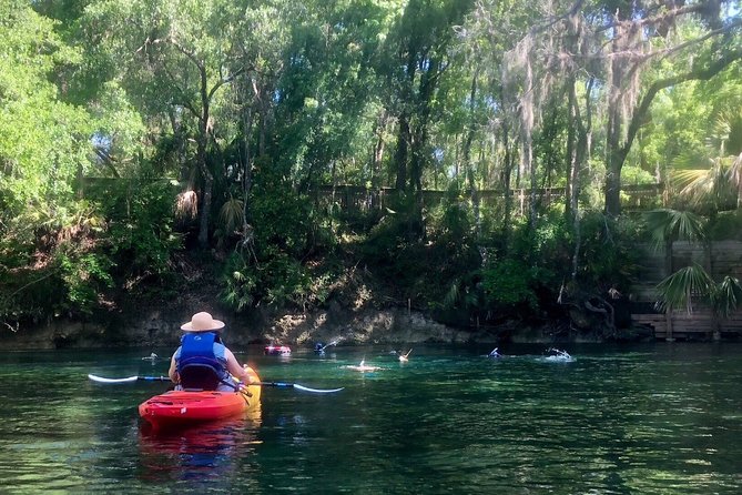 Wekiva River Guided Kayak Tour - Key points to know before you paddle