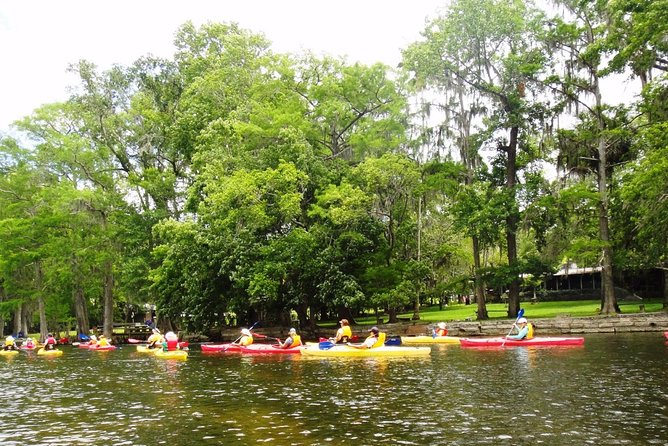 Wekiva River Guided Kayak Tour - The return paddle and the physical reality